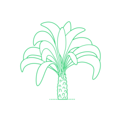 Plants Palms Jelly Palm Icon Svg Vector, Free Vectors File